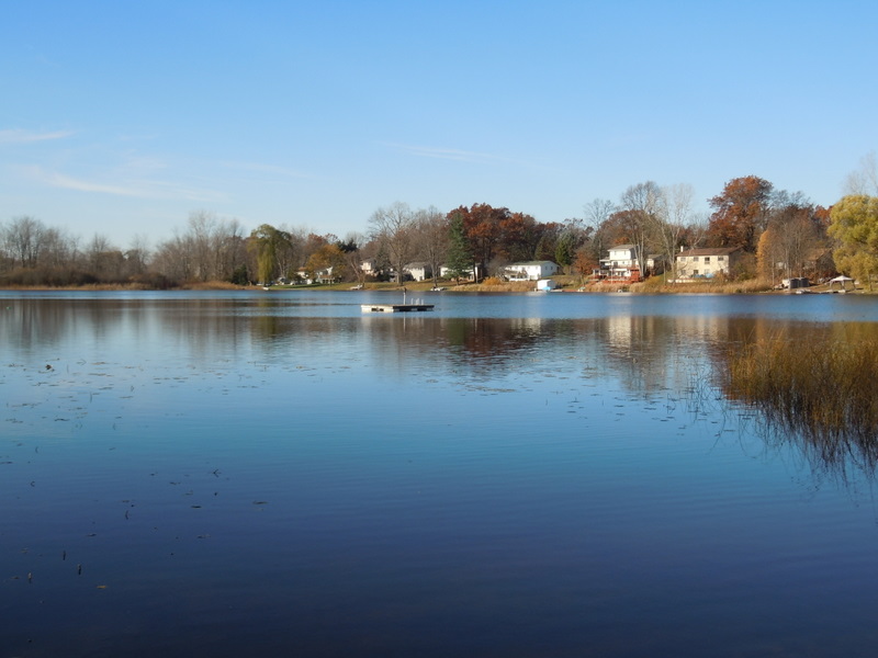 Homes For Sale On Long Lake In Hartland Mi at Thad Bracamonte blog